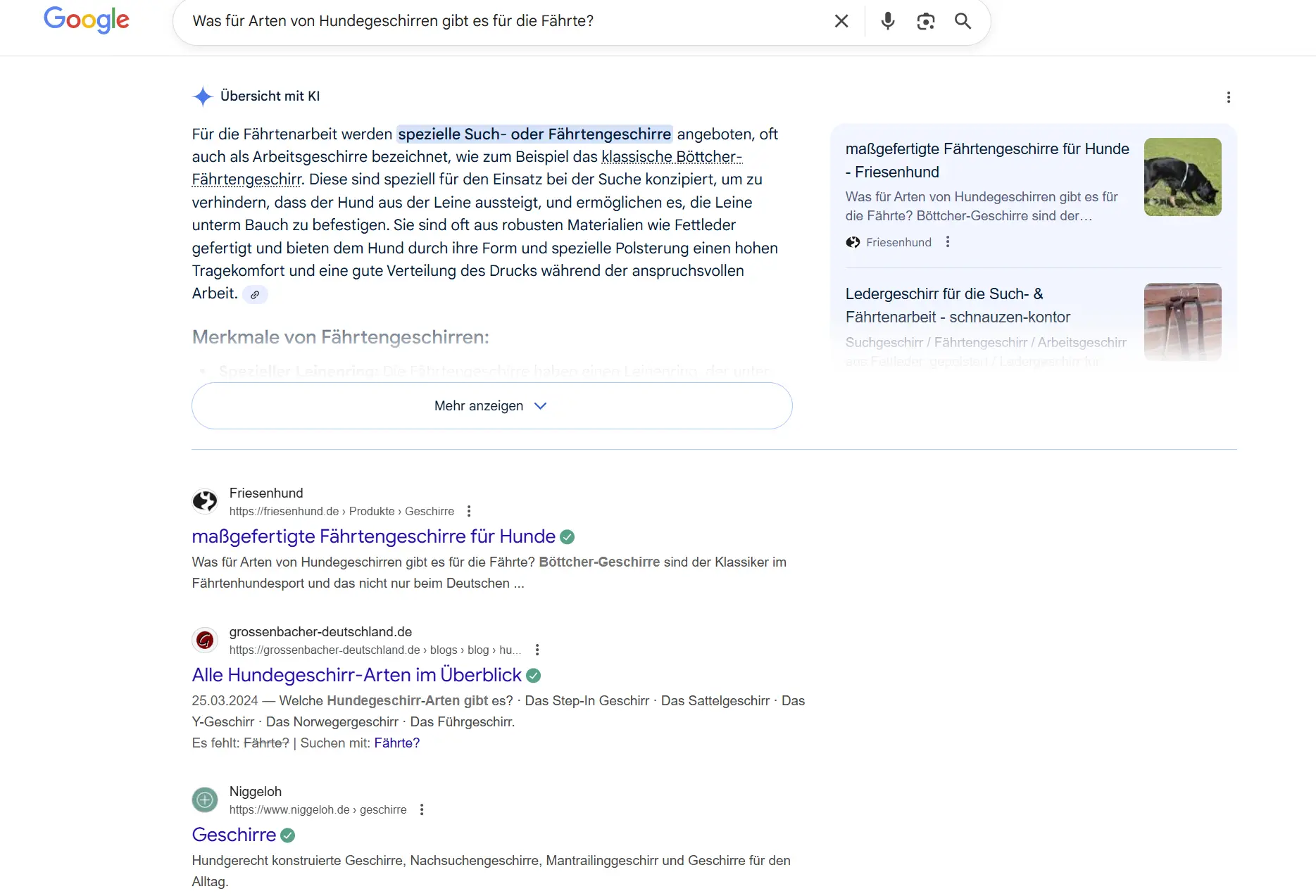 Beispiel wie man mit FAQs die Sichtbarkeit eines Online-Shops in der KI-Suche verbessern. Eingegebene Suchanfrage erzeugt Sichtbarkeit in SERPs (organische Suche) sowie Erwähnung und Verlinkung in KI-Suche